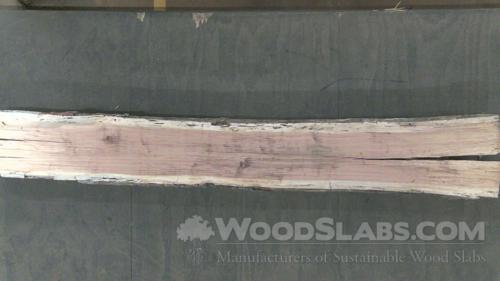 Pecan Wood Slab #ZBS-ATR-QLEB
