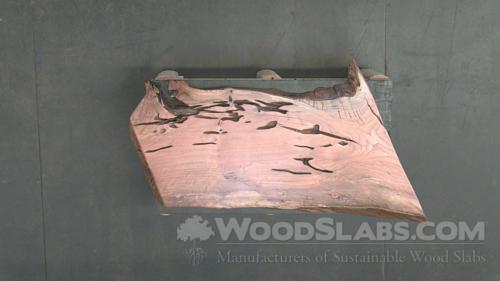 Laurel Oak Wood Slab #299-B90-G64E