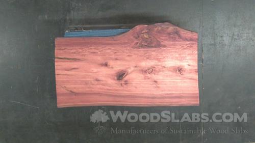 Eucalyptus Wood Slab #ZD5-KHN-HE9D