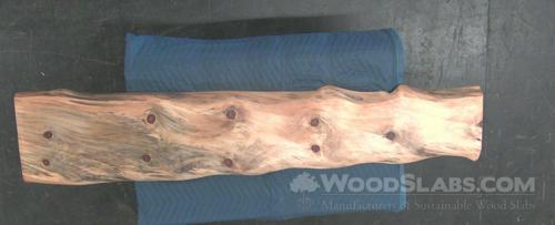 Norfolk Island Pine Wood Slab #O6L-A3M-XM0Q