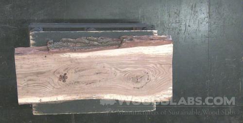 Chestnut Oak Wood Slab #NLW-TR6-R3CJ