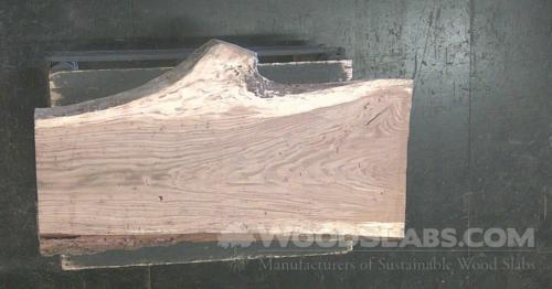 chestnut oak Wood Slab #WWO-J8V-H7TA