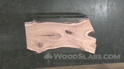 Chestnut Oak Wood Slab #873-3KN-9TKU