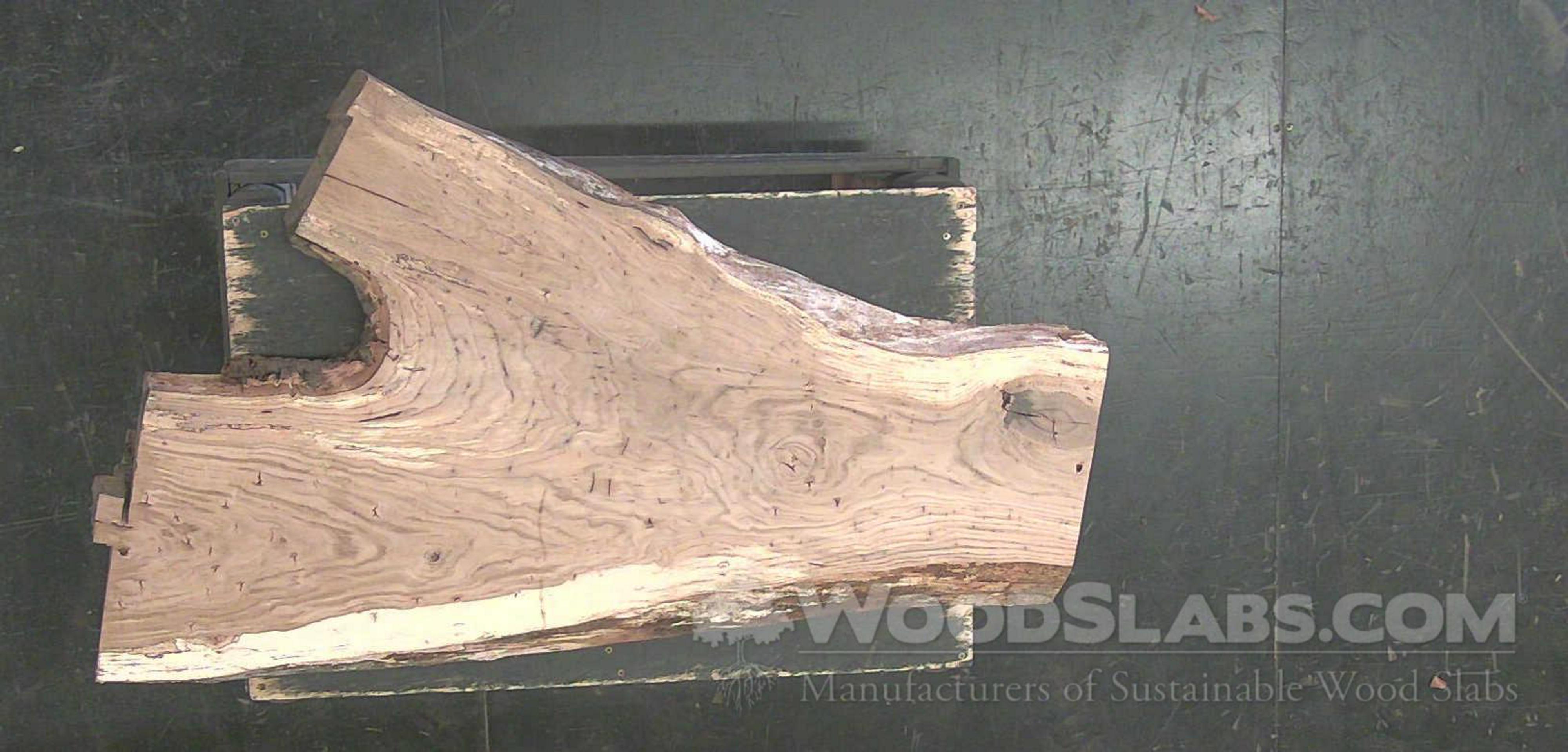 Chestnut Oak Wood Slab #B11-5JK-GR7Q