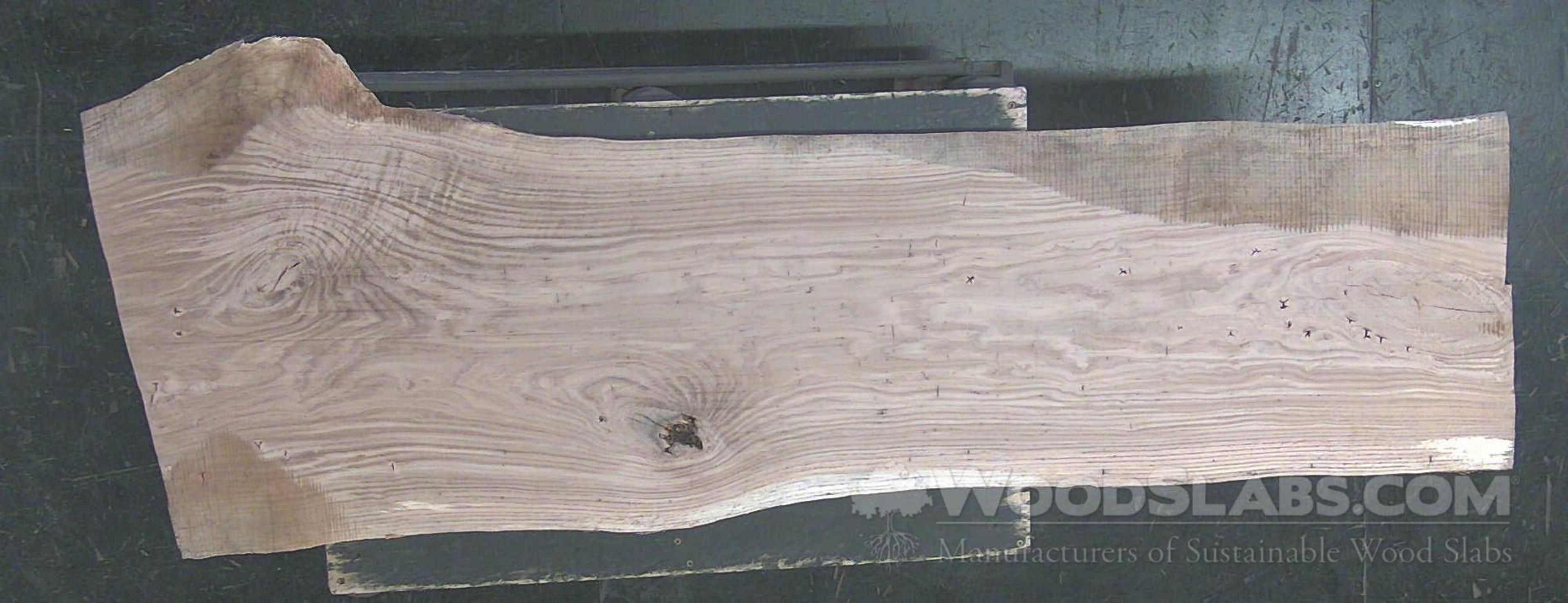 Chestnut Oak Wood Slab #B11-5JK-GR7Q