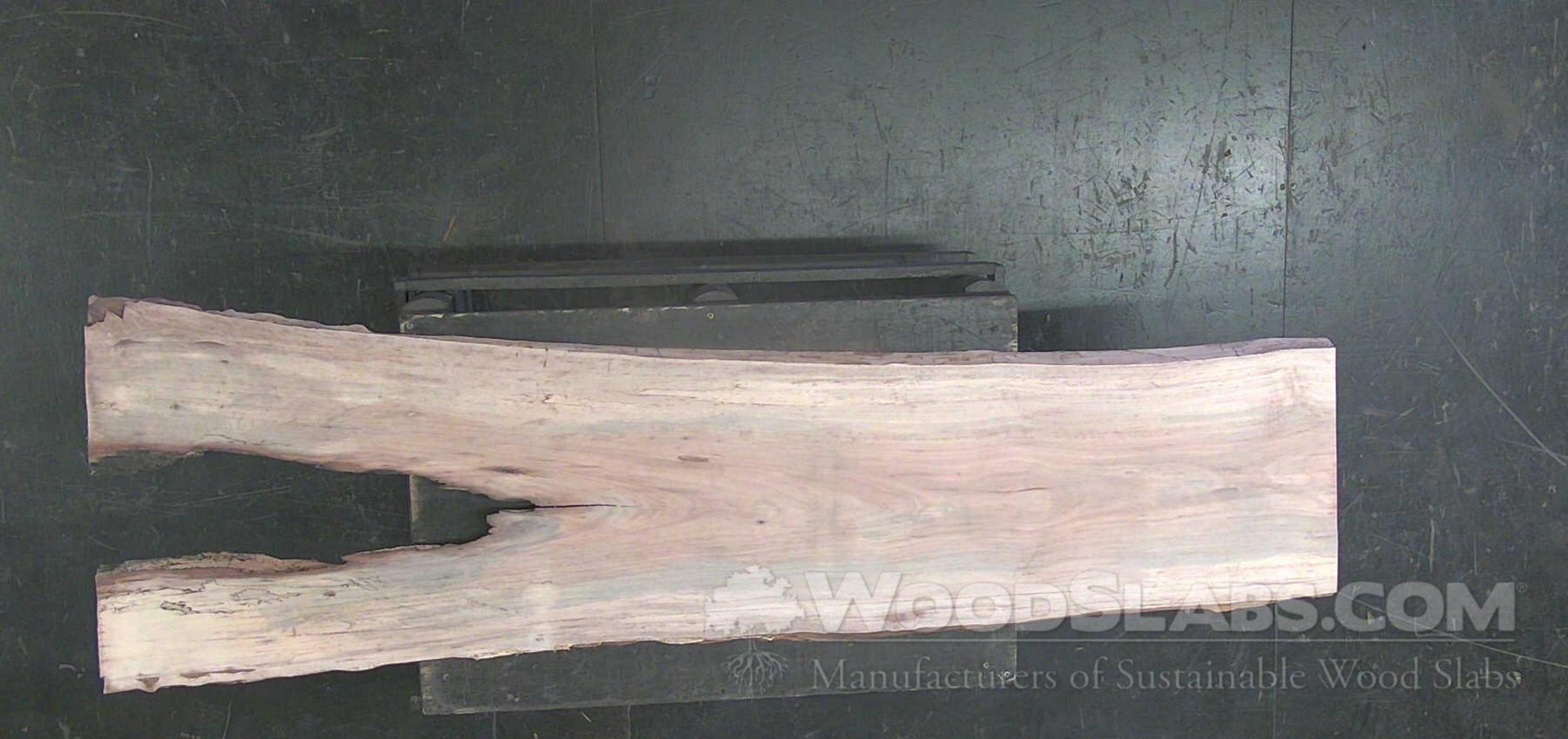 Sycamore Wood Slab #Y9Z-7DN-D5X9