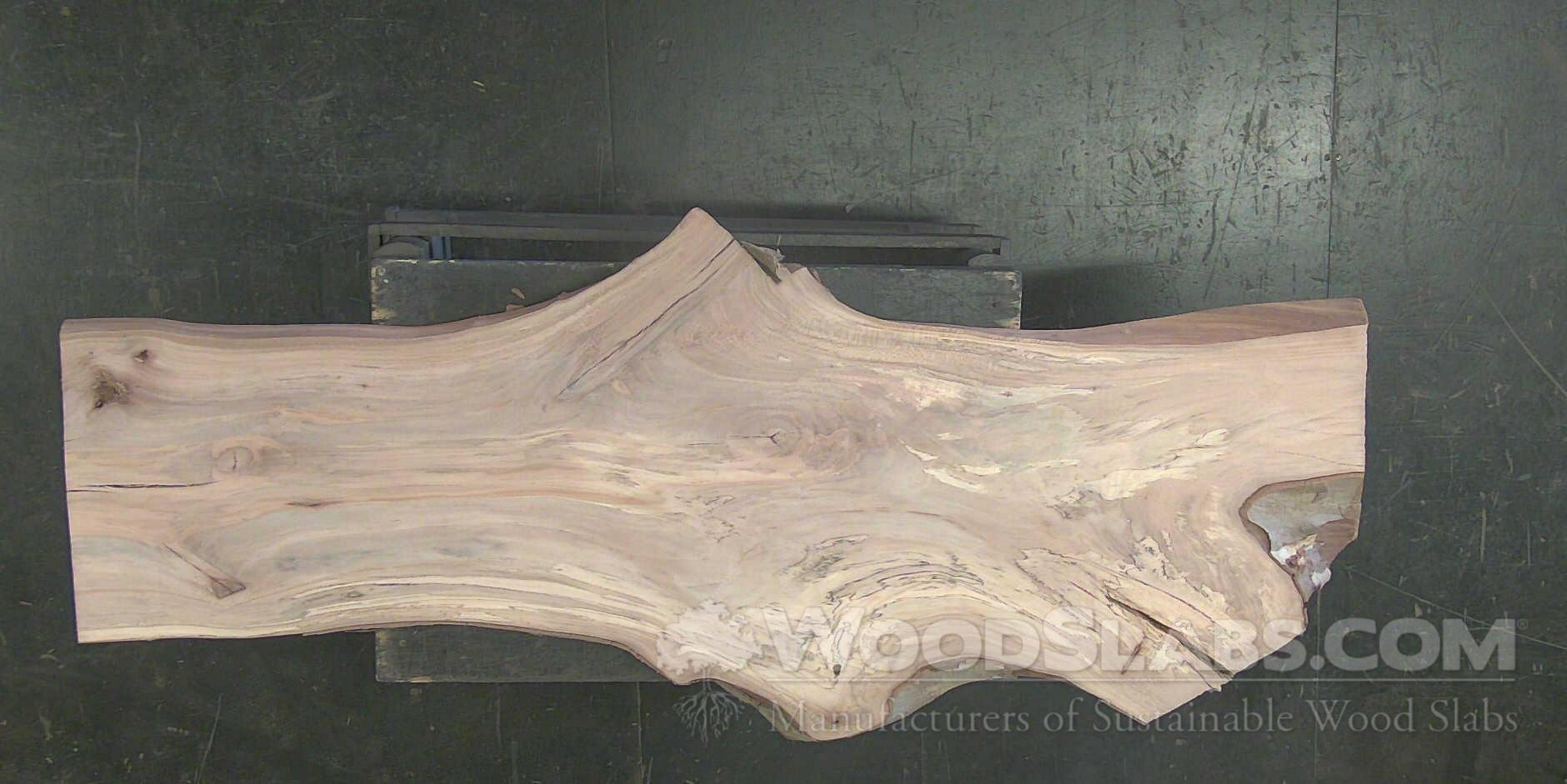 WoodSlabs.com - Sycamore Wood Slab 6SD-1H8-DVUA