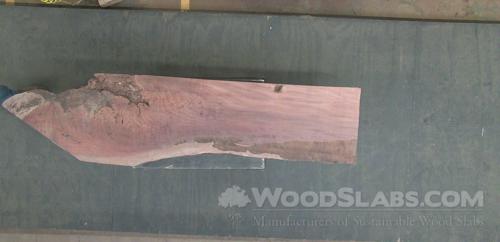 Bishop Wood Wood Slab #LIQ-2JS-UV3J