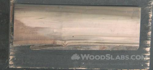 Rainbow Poplar Wood Slab #QHQ-3CH-IO0N