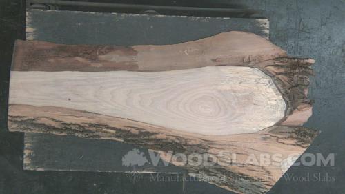 White Ash Wood Slab #DDI-Q9M-4MVZ