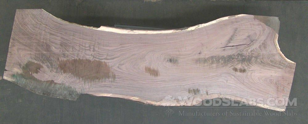 WoodSlabs.com - Walnut Wood Slab #SFO-S04-C07N