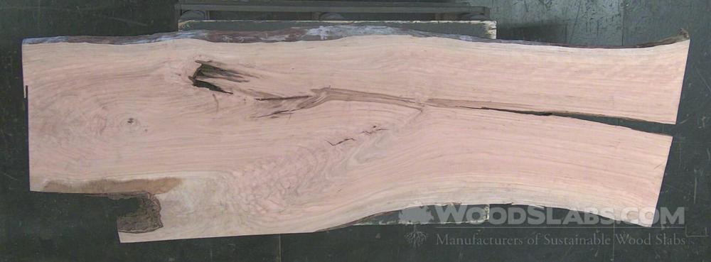 Black Cherry Wood Slab #O19-KDV-5OCO