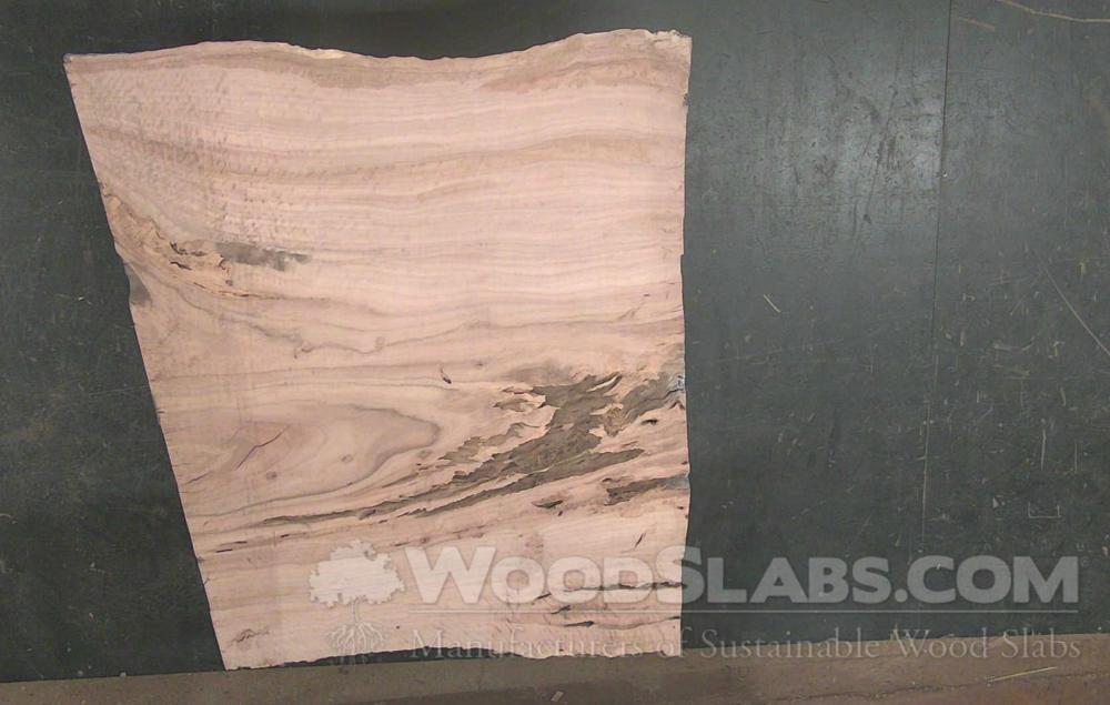 Eucalyptus Wood Slab #AC3-5HE-HRU3