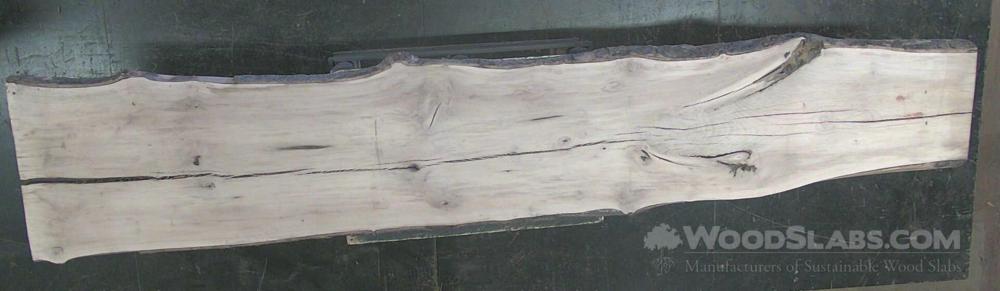 White Ash Wood Slab #NK7-AD3-9F69