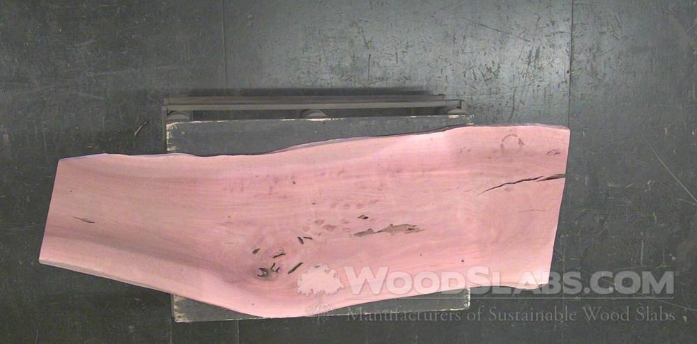 Swamp Mahogany Wood Slab #R2E-54H-NR82