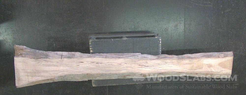 Sycamore Wood Slab #0NS-WUG-76RQ