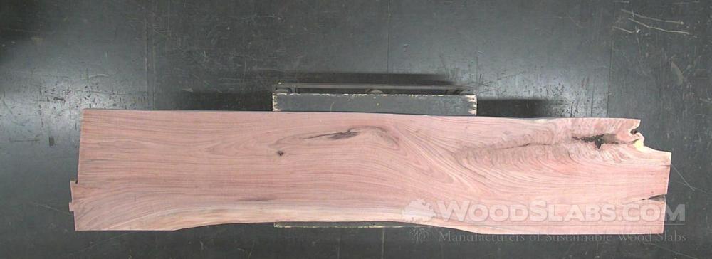 Walnut Wood Slab #JKE-8CC-41T0