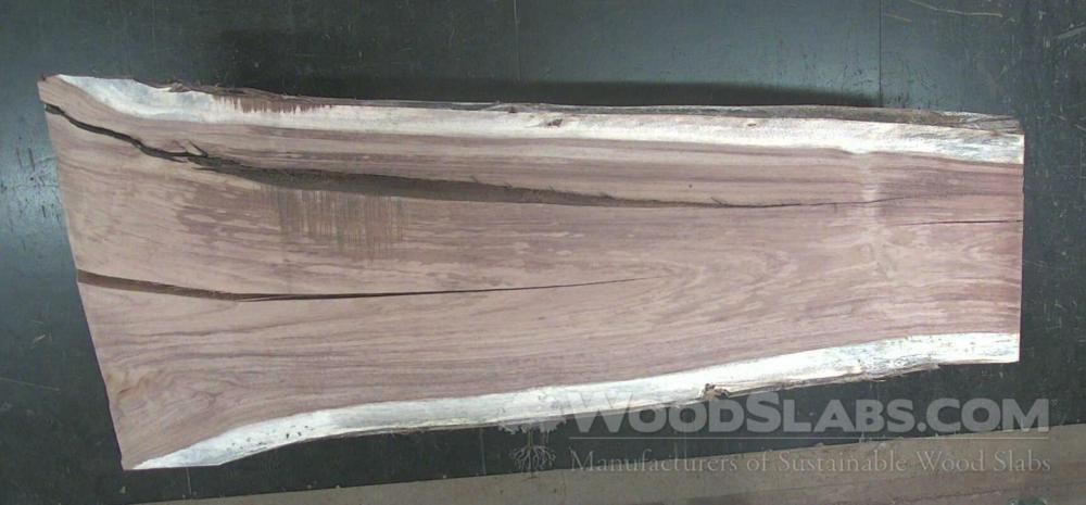 Parota Wood Slab #F2Q-YSO-W0QP