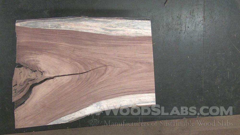 Parota Wood Slab #QQW-TD8-VKYI