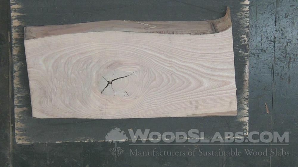 white ash Wood Slab #IUA-5Q1-P44O