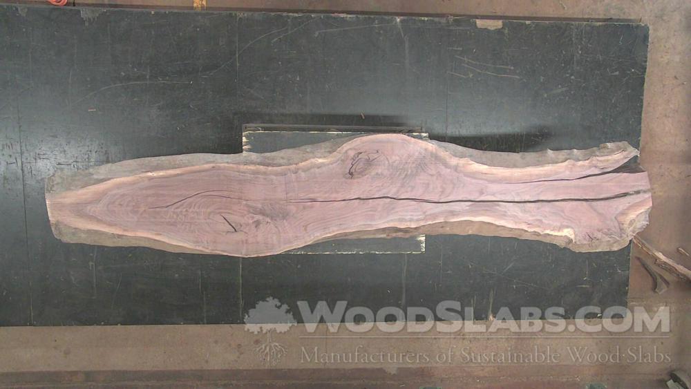 Walnut Wood Slab #PCF-OEW-6KF1