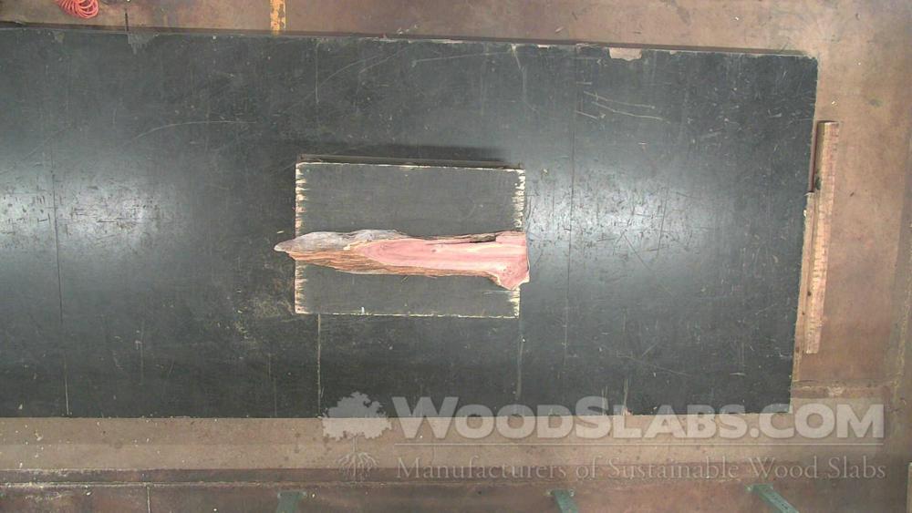 Aromatic Cedar Wood Slab #U1X-2CP-LB71