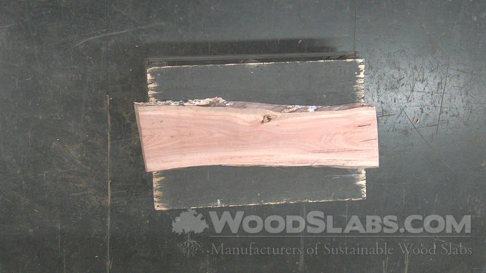 Melaleuca Wood Slab #YK5-TGQ-3HHA