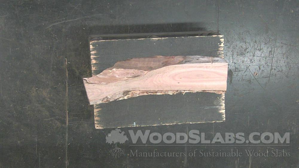 Melaleuca Wood Slab #UKG-BCC-7DKH