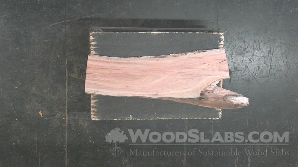 Melaleuca Wood Slab #ICS-C5Y-RWN2