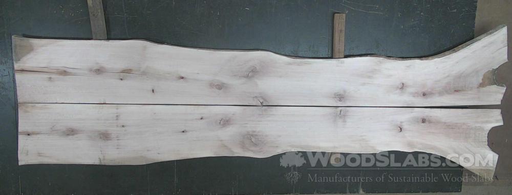 Sycamore Wood Slab #QZF-80R-L0DV