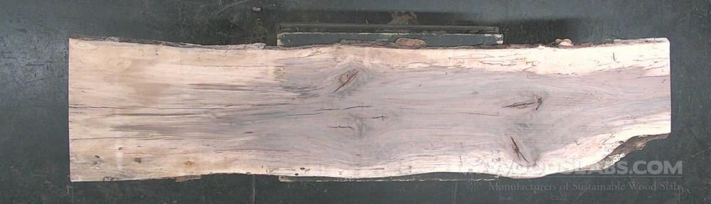 Hickory Wood Slab #WLX-HKK-7YRE