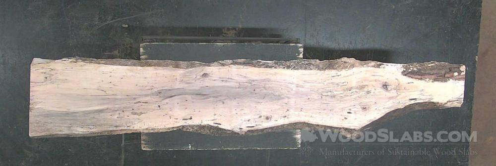 Hickory Wood Slab #TOJ-INA-ZPSI