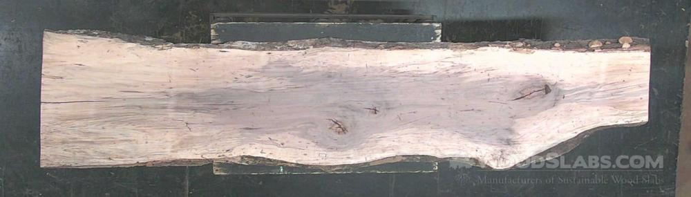 Hickory Wood Slab #6CY-HFR-SZVQ