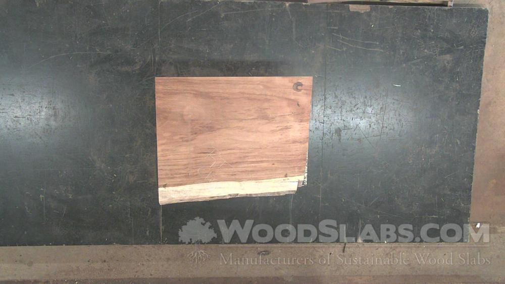 Monkey Pod Wood Slab #WIZ-ZMW-3I6Q