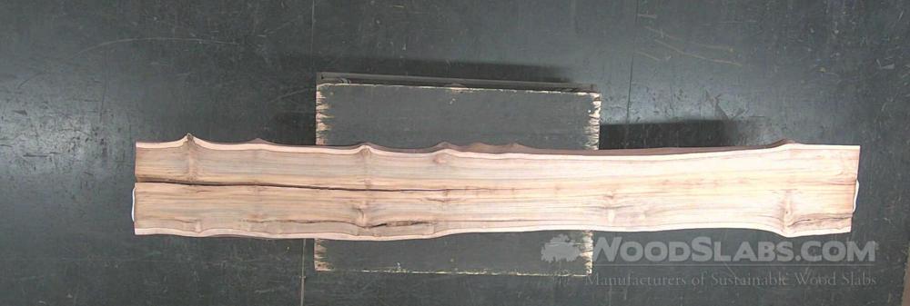 Latin Teak Wood Slab #1F3-8Y8-GGNJ