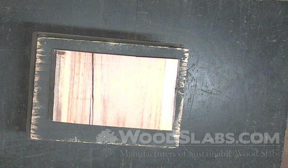 Tigerwood Wood Slab #U63-NG3-QUFQ