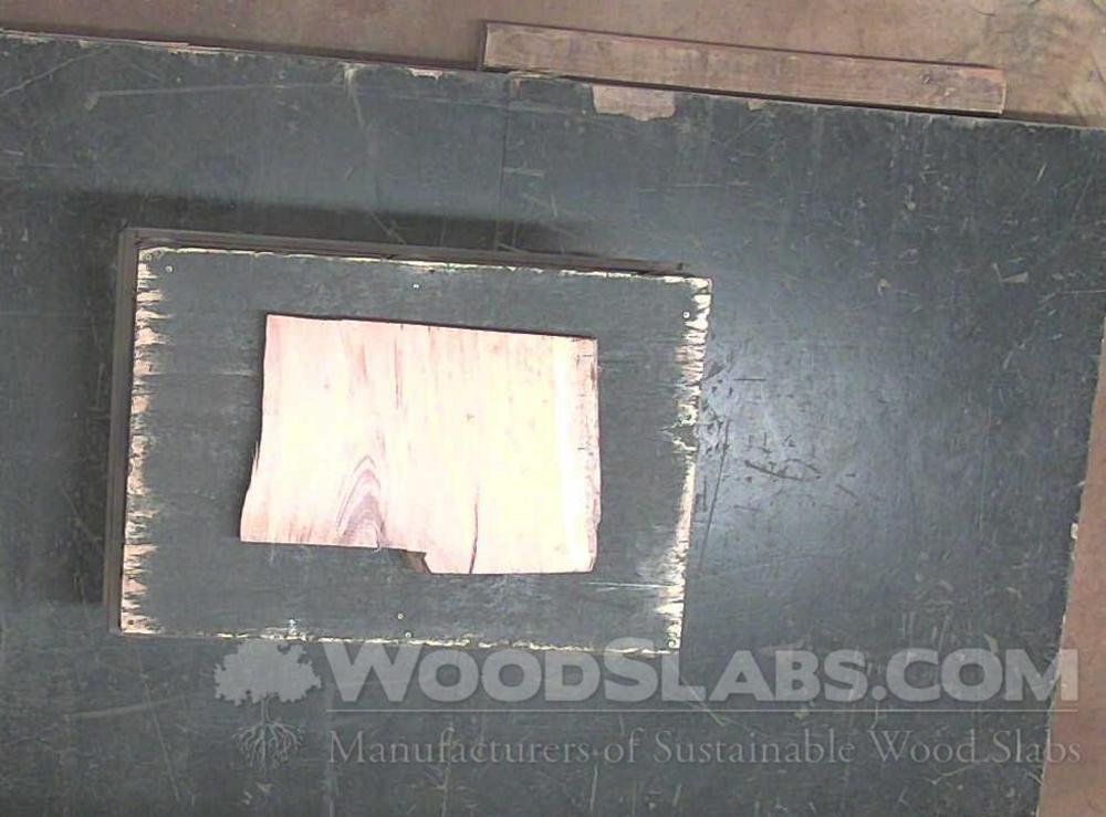 Tigerwood Wood Slab #NJB-MUW-OWJM