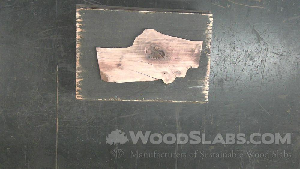 Claro Walnut Wood Slab #DT2-F3F-VP8F