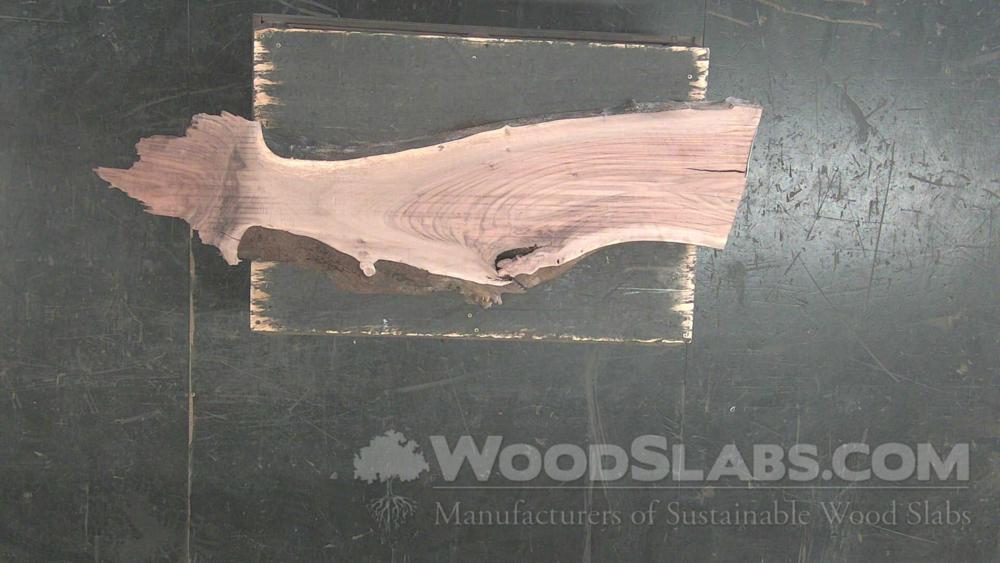 Claro Walnut Wood Slab #1EW-MQ3-I9E7