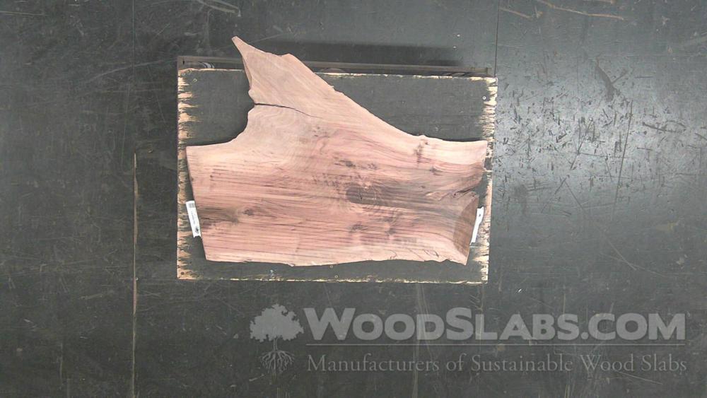 Claro Walnut Wood Slab #QDD-IBH-H0Y9