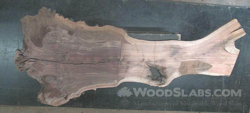 Claro Walnut Wood Slab #TRG-MTW-S7EF