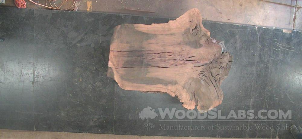 Claro Walnut Wood Slab #D9I-HUH-GN25