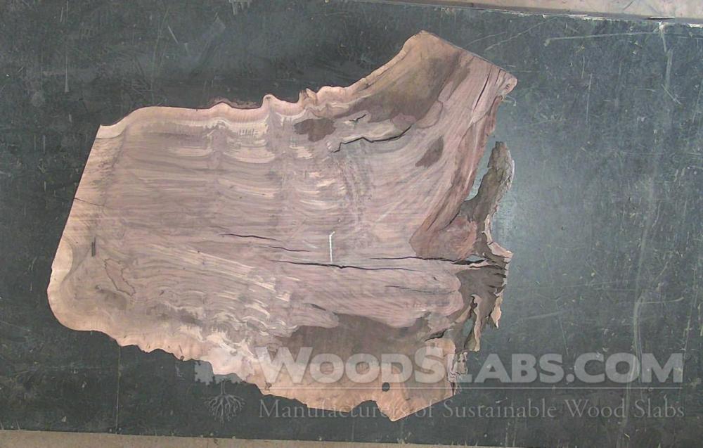 Claro Walnut Wood Slab #XTE-97I-56LL