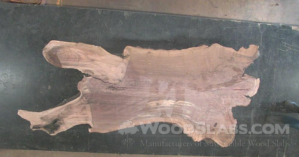 Claro Walnut Wood Slab #VMI-HA8-O1SW