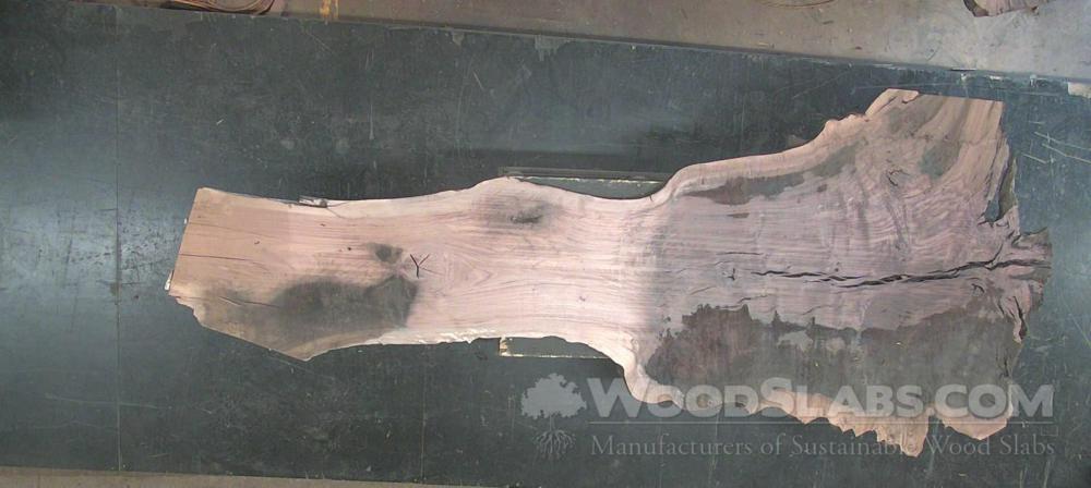 Claro Walnut Wood Slab #K51-416-0YST