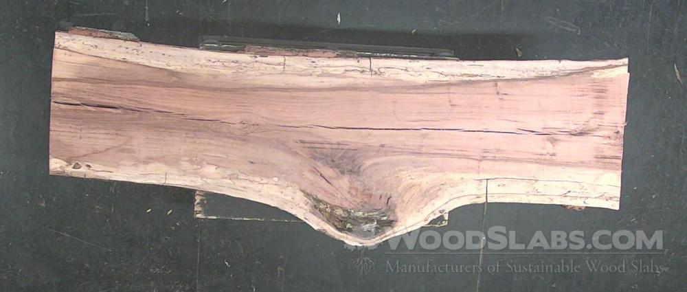 Sycamore Wood Slab #URF-4C2-IRAI