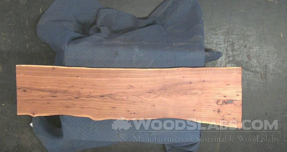 English Elm Wood Slab #JFQ-OCJ-NULS