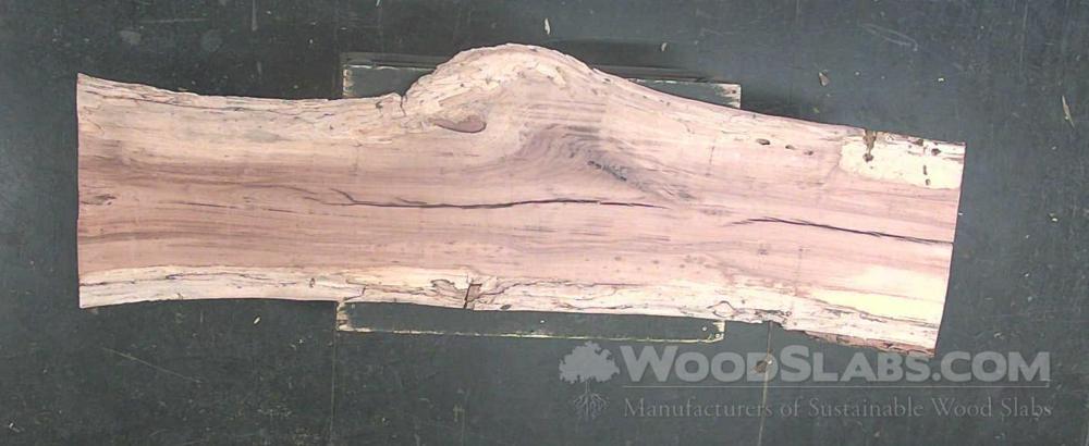 Sycamore Wood Slab #GB6-C1R-FJ07