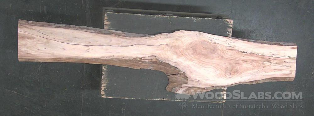 Pecan Wood Slab #ODF-NHZ-EAG7