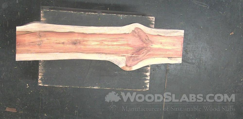 Longleaf Pine Wood Slab #K8E-PA6-CG1Q